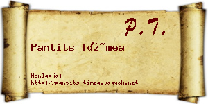 Pantits Tímea névjegykártya